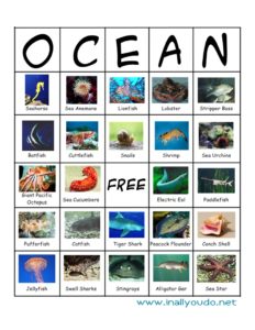 ocean preschool printables bingo