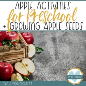 wooden basket of apples whole and cut in half on grey marble-like countertop, overlay words "Apple Activities for Preschool + Growing Apple Seeds"