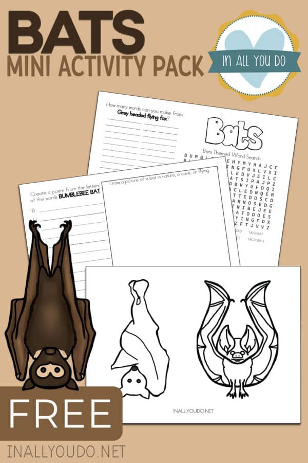 Types of Bats Activities – In All You Do